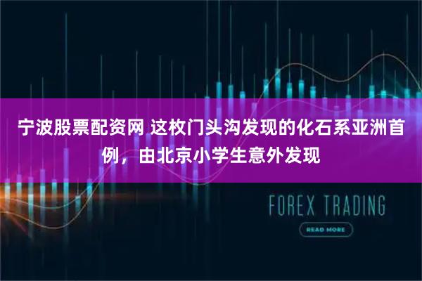 宁波股票配资网 这枚门头沟发现的化石系亚洲首例，由北京小学生意外发现